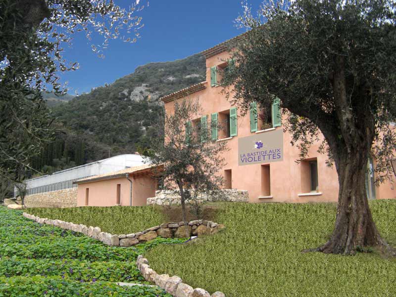 Fermeture Bastide aux Violettes 24 et 31 décembre après-midi