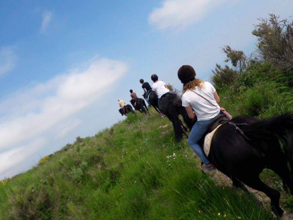 Activités équestres Ranch des Baous été 2018