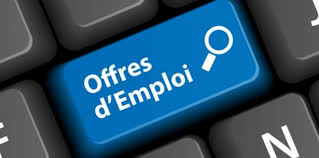 OFFRE EMPLOI / auxiliaire de puériculture