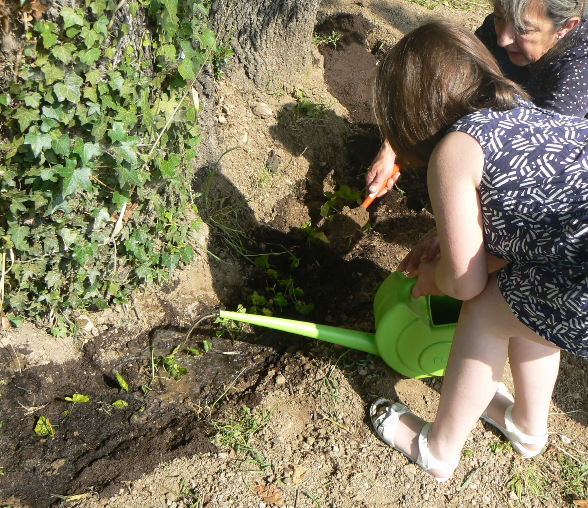 Parfum De Violettes A L Ecole Maternelle Tourrettes Sur Loup