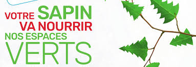 sapin
