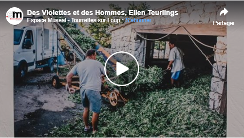 Expo en ligne Des Violettes et des Hommes, Ellen Teurlings