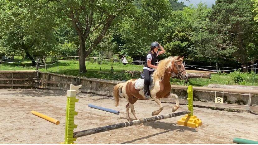 Vacances de Toussaint - Stages d'équitation