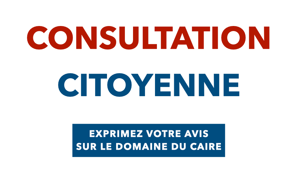 CONSULTATION.001