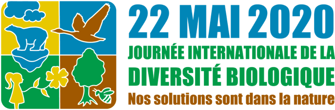 idb-2020-logo-fr-web
