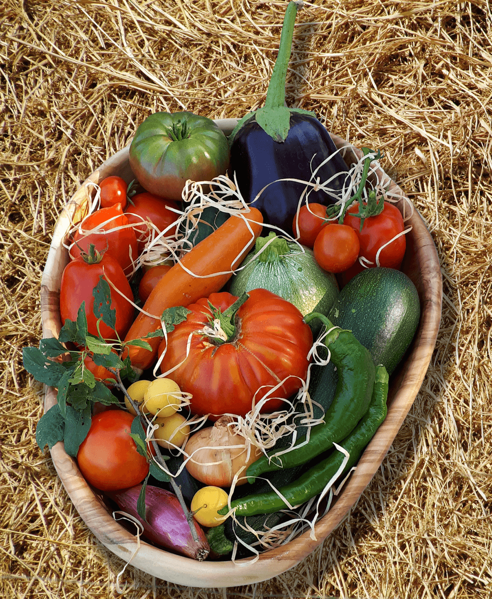 panierlegumes
