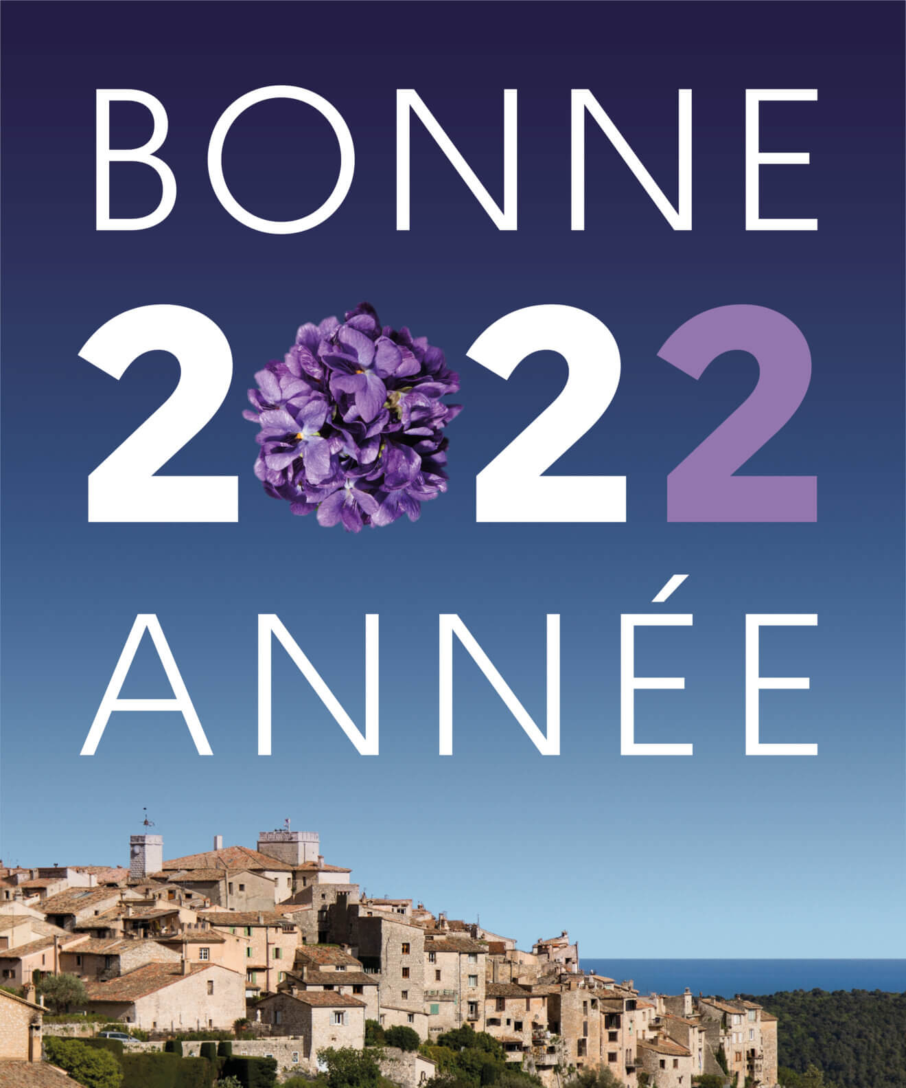AFFICHE PANNEAU (1)