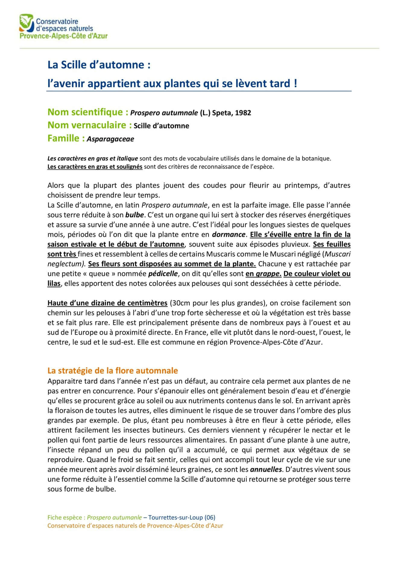 Scille_automne_Tourrettes_sur_Loup (1)-page-001