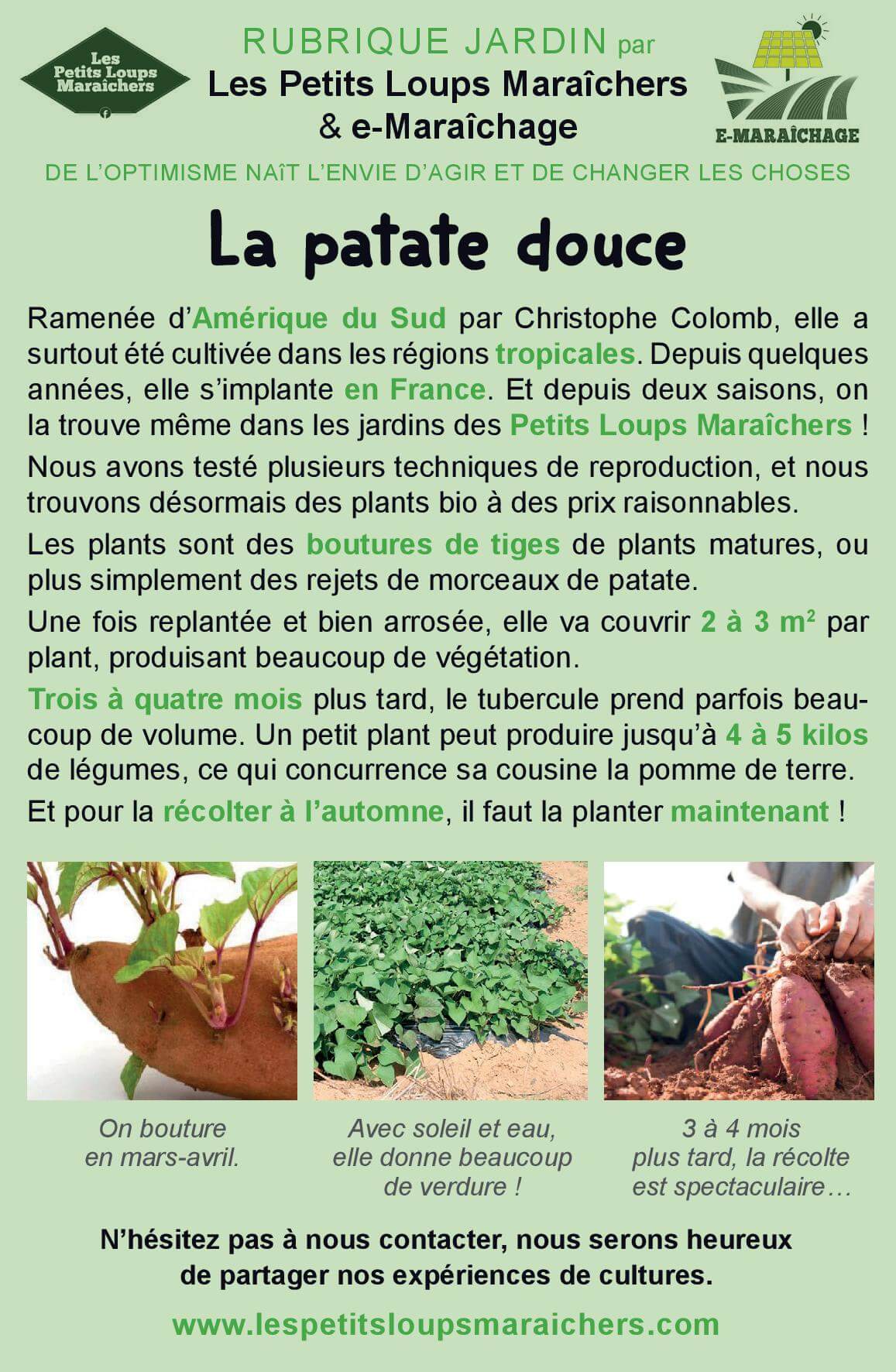 PLM Patate Douce Page 001