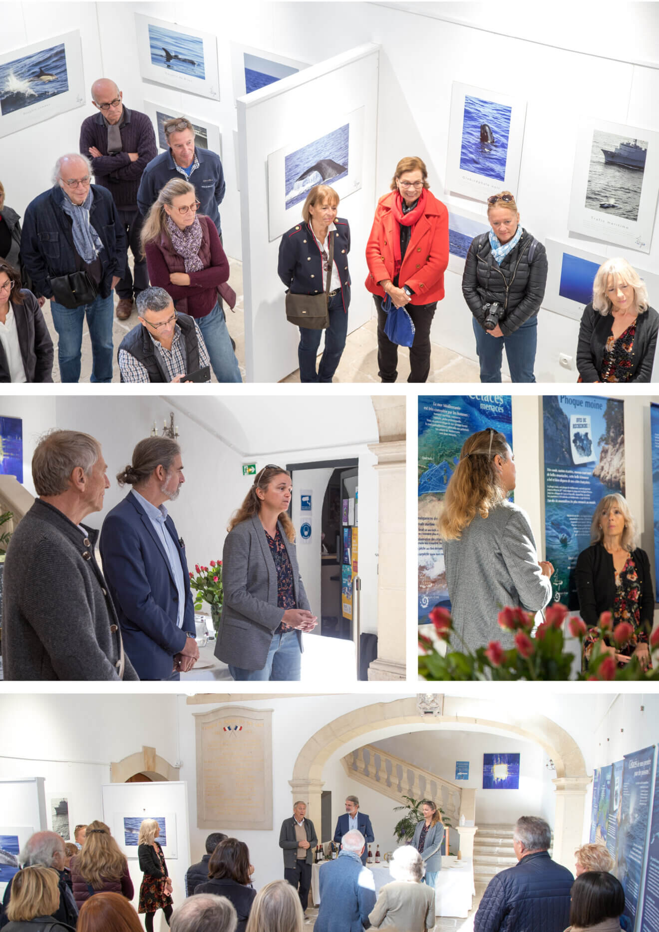 Photos Newsletter Copie
