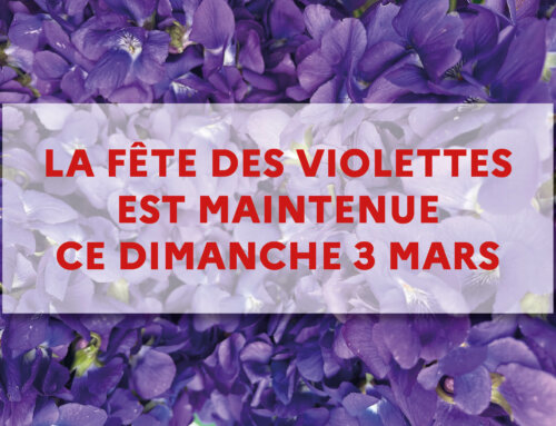 La Fête des Violettes maintenue !