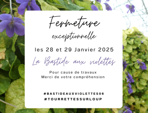 Fermeture exceptionnelle de la Bastide aux violettes