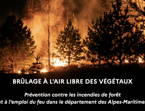 Prévention contre les incendies de forêt et à l’emploi du feu dans le département des Alpes-Maritimes