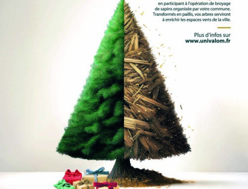 UNIVALOM organise la collecte et le broyage de vos sapins