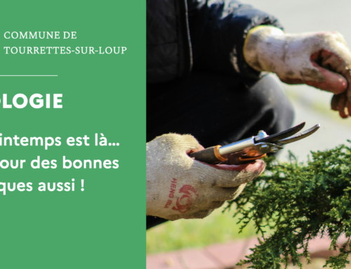 Le printemps est là… le retour des bonnes pratiques aussi !