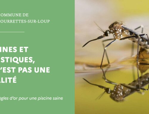 Piscines et moustiques, ce n&rsquo;est pas une fatalité
