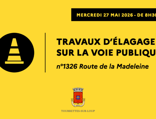 Travaux d&rsquo;élagage – route de la Madeleine (le 27/05)